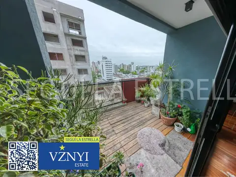 12 N°338 Entre 39 y 40