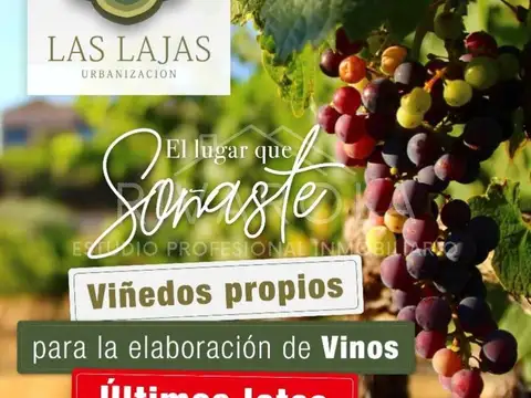 Terreno en Venta en San Luis, USD 8.500