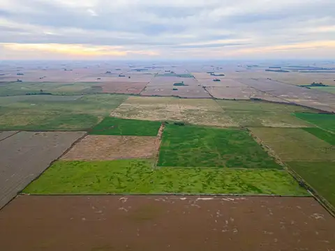 CAMPO EN VENTA 104 HECTAREASMIXTO CEPEDA