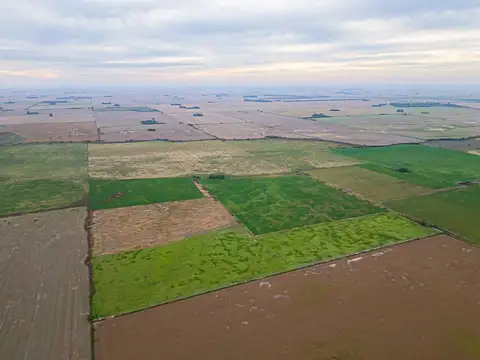 CAMPO EN VENTA 104 HECTAREASMIXTO CEPEDA