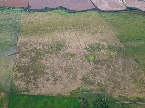 CAMPO EN VENTA 104 HECTAREASMIXTO CEPEDA