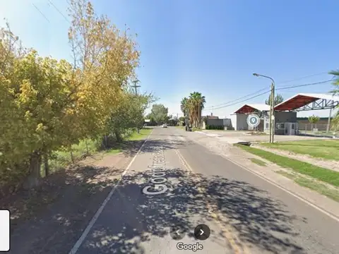 Godofredo Paladini 12500