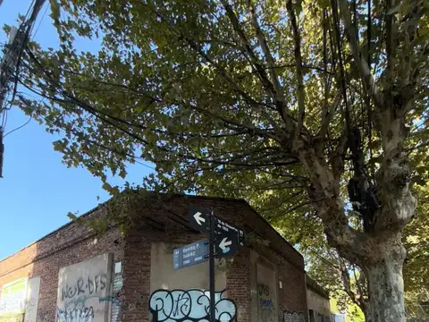 18 de Diciembre  al 1600