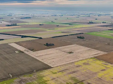 Terreno en Venta de 375000,0 m2