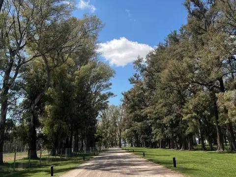 Terreno en Venta en General Rodriguez, USD 90.000