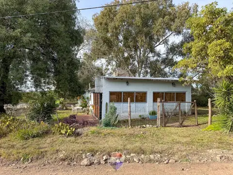 VENTA CAMPO 4.7 HECTAREAS CAMINO AL CUADRADO CBA