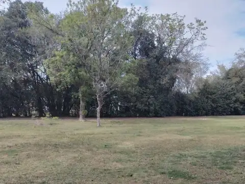 Quinta en venta - 2 Dormitorios 1 Baño - 3200Mts2 - Ignacio Correas Arana, La Plata