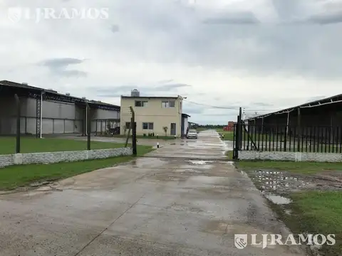 Depósito en Alquiler en Zárate