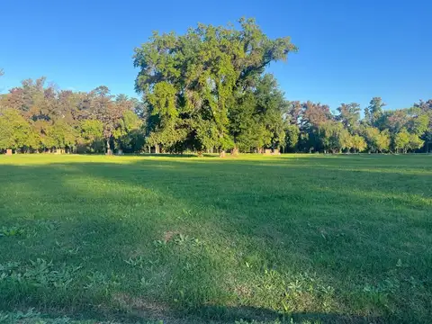 Terreno Lote  en Venta en Almahue, La Lonja, Pilar