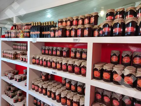 VENTA FONDO DE COMERCIO CON 32 AÑOS DE TRAYECTORIA - SAN MARTIN DE LOS ANDES