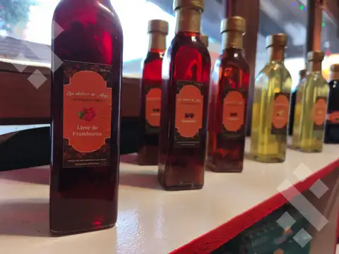 VENTA FONDO DE COMERCIO CON 32 AÑOS DE TRAYECTORIA - SAN MARTIN DE LOS ANDES