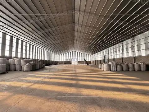 Galpon en Alquiler 39  mts Frente