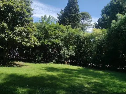 Excelente y amplio terreno con mejoras