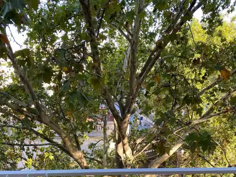 Monoambiente super luminoso, excelente ubicacion! - Palermo