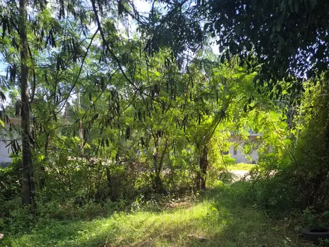 Terreno en Venta de 250,0 m2