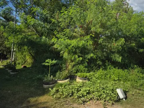 Calle Clementino Forte 400