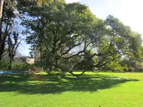 Terreno en Venta en Villa de Mayo, USD 290.000