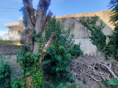 Terreno en Venta 35  mts Fondo