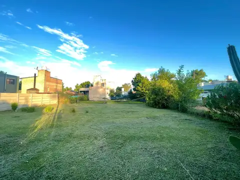 Terreno en Venta 20  mts Fondo