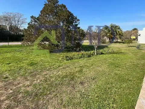 Calle 806 Cerca De La Plaza Central