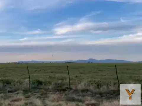 Campo en Venta en Necochea, Partido de Necochea