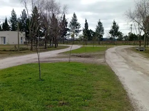 Terreno en Venta en Campos De Roca, USD 19.900