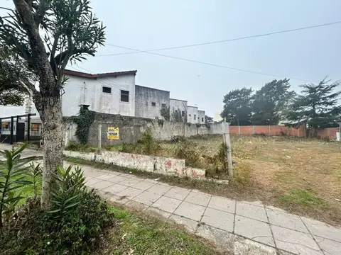 2 LOTES SOBRE AV PRINCIPAL - UBICACION IDEAL