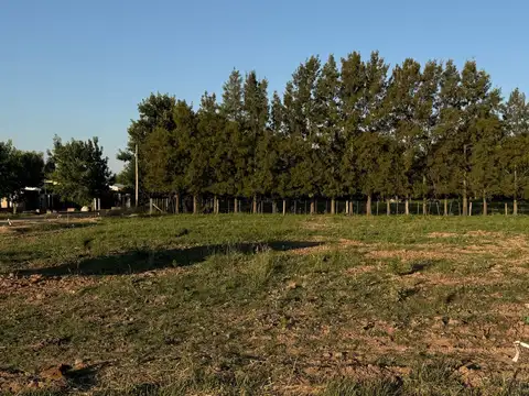 Terreno en Venta en Salvador Maria, USD 25.000