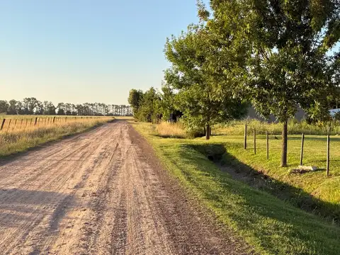 Terreno en Venta en Salvador Maria, USD 25.000