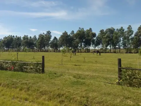 Terreno en Venta en Esquina, USD 8.000