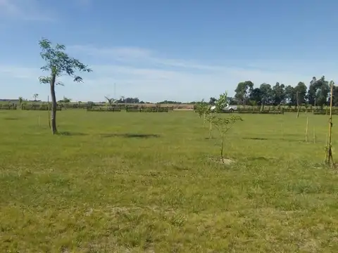 Terreno en Venta de 1200,0 m2