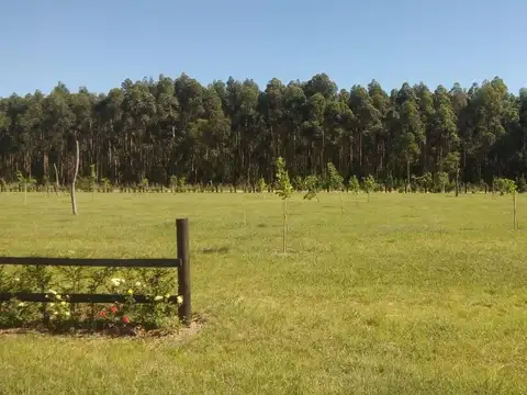 Terreno en Venta, FOS 1