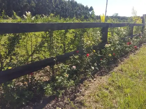 Terreno en Venta de 1200,0 m2
