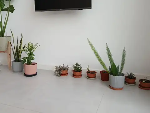 Departamento en Venta 8 años