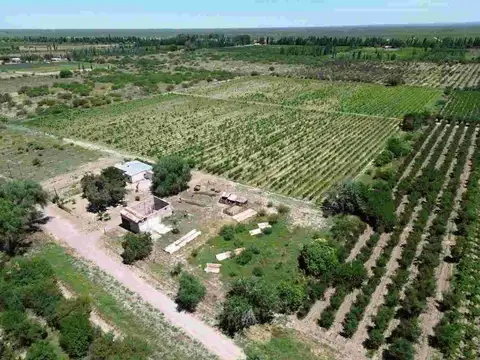 Campo en Venta en Las Catitas, Santa Rosa