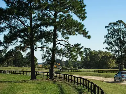 Venta Lote En Barrio Quebradas,