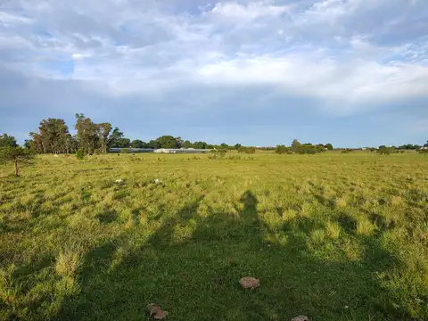 Campo en Venta de 5  ha
