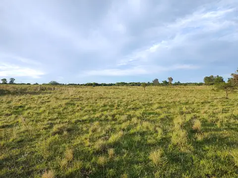 Campo en venta en Villa Elisa