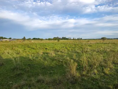 Campo en Venta Chacra