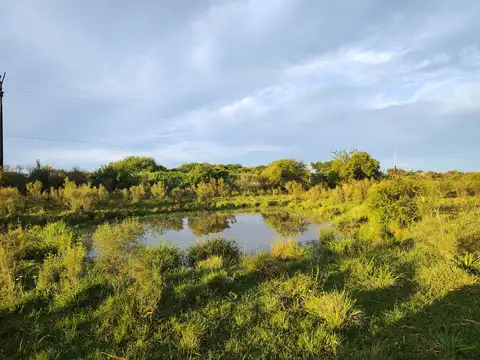 Campo en Venta Chacra