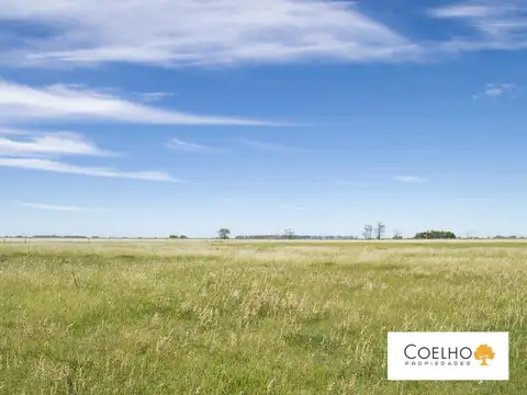Terreno en venta en Carmen De Areco - Chacras de la Alameda