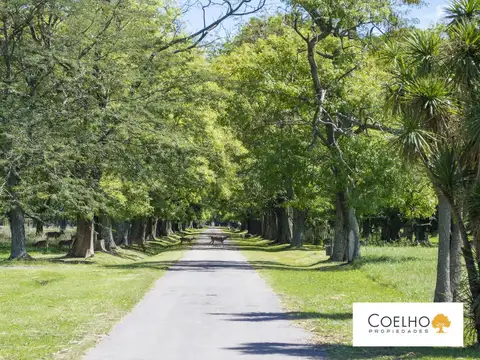 Terreno en Venta en Carmen De Areco, USD 58.000