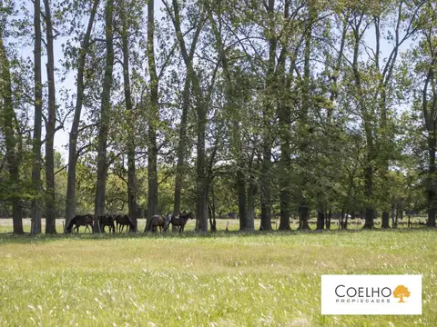 Terreno en venta en Carmen De Areco - Chacras de la Alameda