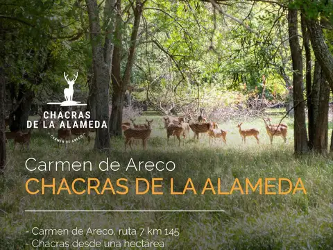 Terreno en venta en Carmen De Areco - Chacras de la Alameda
