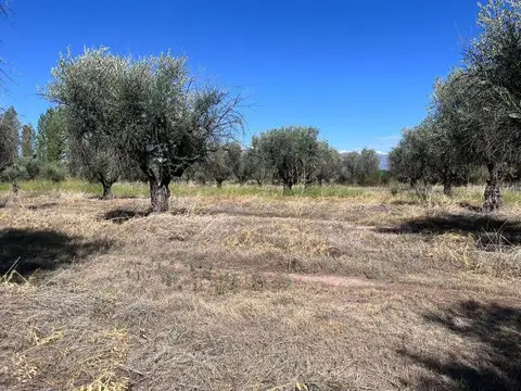 TERRENO EN VENTA, 4.965m2 RUSSELL, MAIPÚ