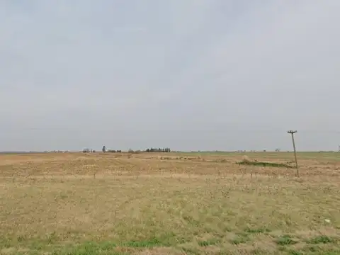 Ruta Nacional 8