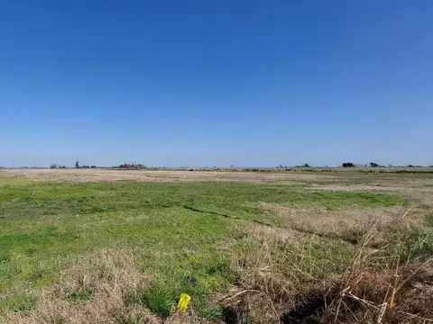 Ruta Nacional 8