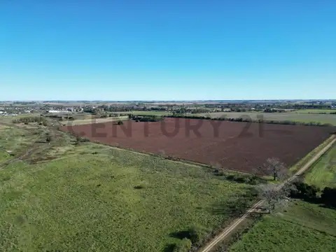 RUTA 8 Y RUTA 51 CAMPO 37 HA ARRECIFES, BUENOS AIRES