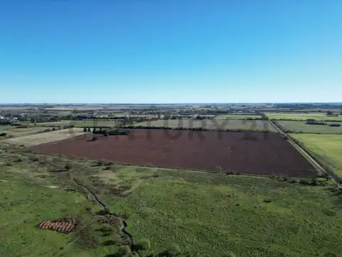 RUTA 8 Y RUTA 51 CAMPO 37 HA ARRECIFES, BUENOS AIRES