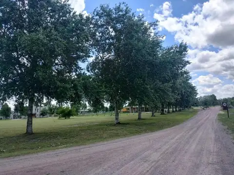 Av Juan Pablo Ii 1600